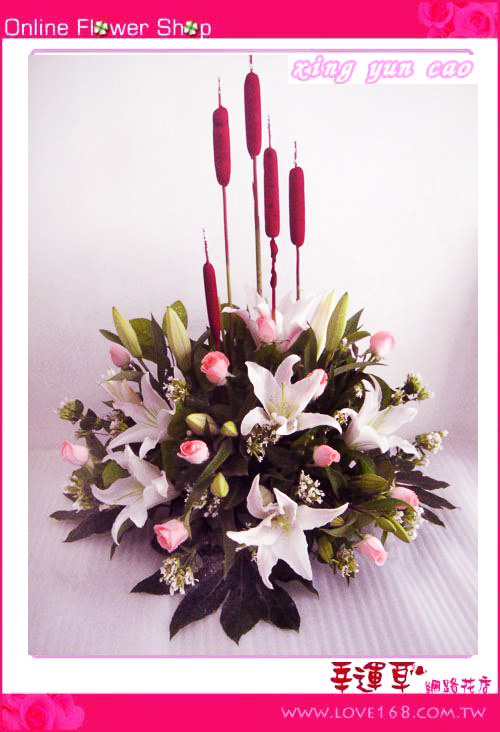 🍂【11月，讓心靜下來的時節】🌿🕯️ 