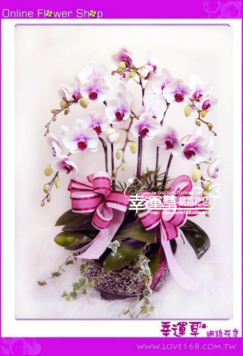 🌸【春分｜把日子過成剛剛好的樣子】🌿✨ 春分，是晝夜等長