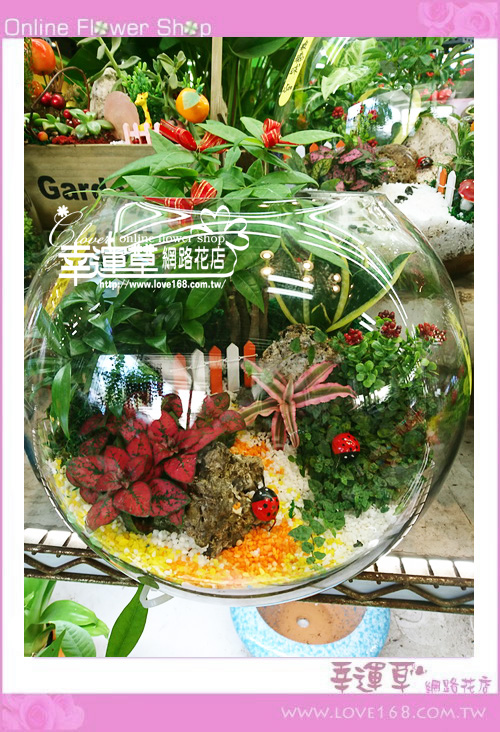 🌿【幸運草花坊｜六月祈福拜拜專區】🕯️🌞農曆六月