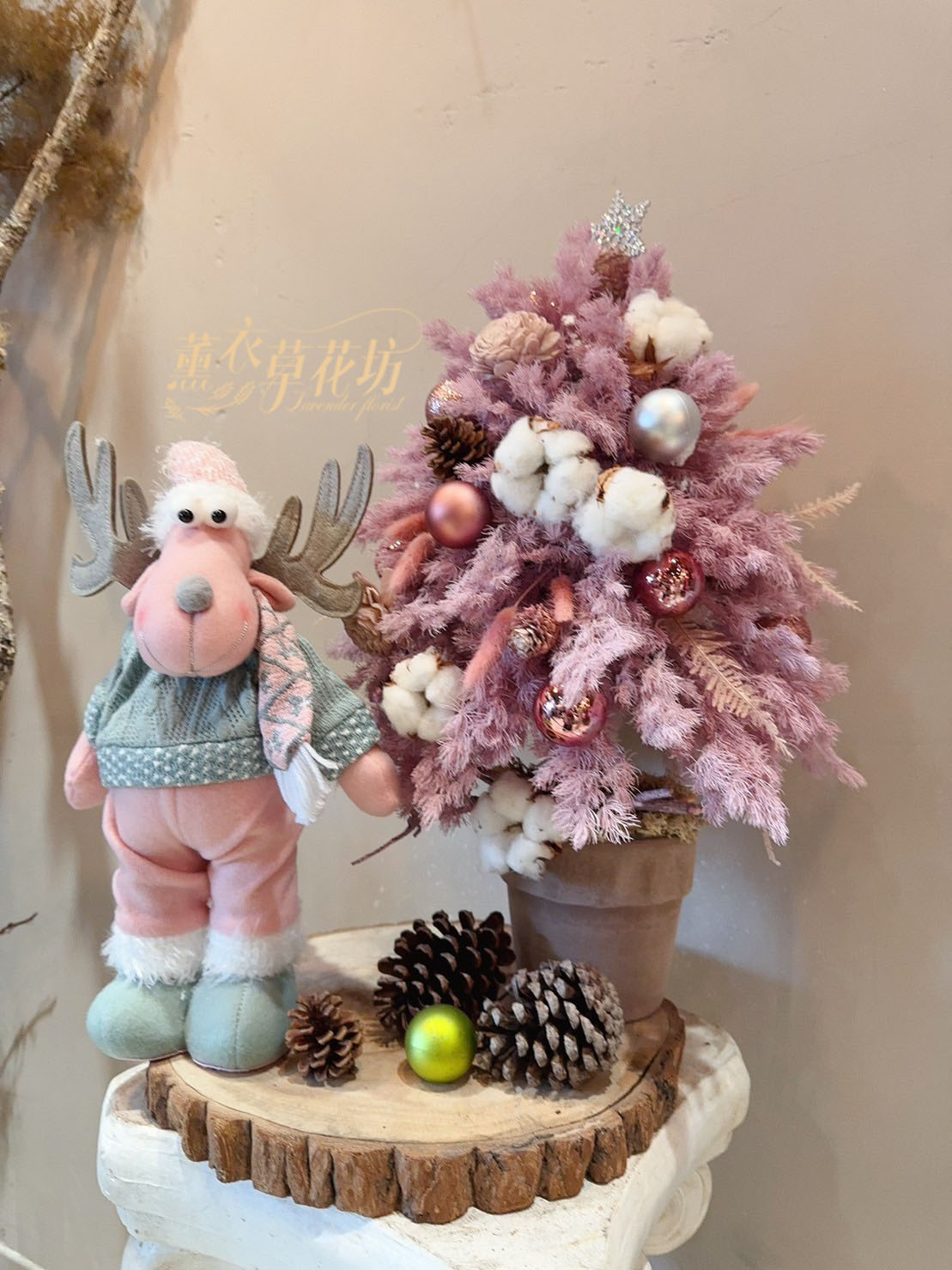 《11月，溫柔慢行的開始》 🍂💜🌿✨