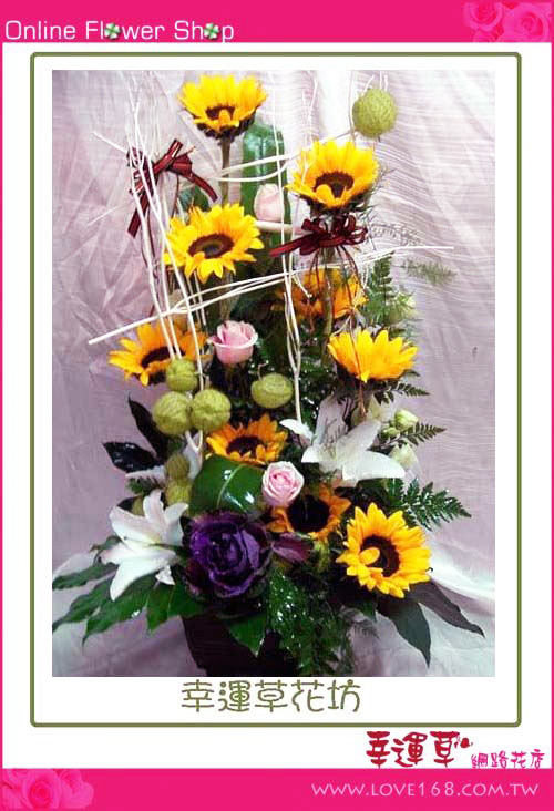 🍁【11月的花香提醒】🌿💐 