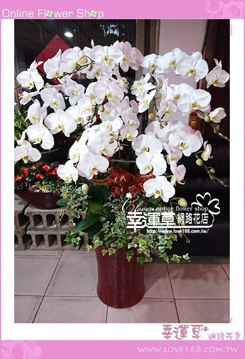 🌕【中元普渡｜幸運草花坊拜拜專區】🕯️💐