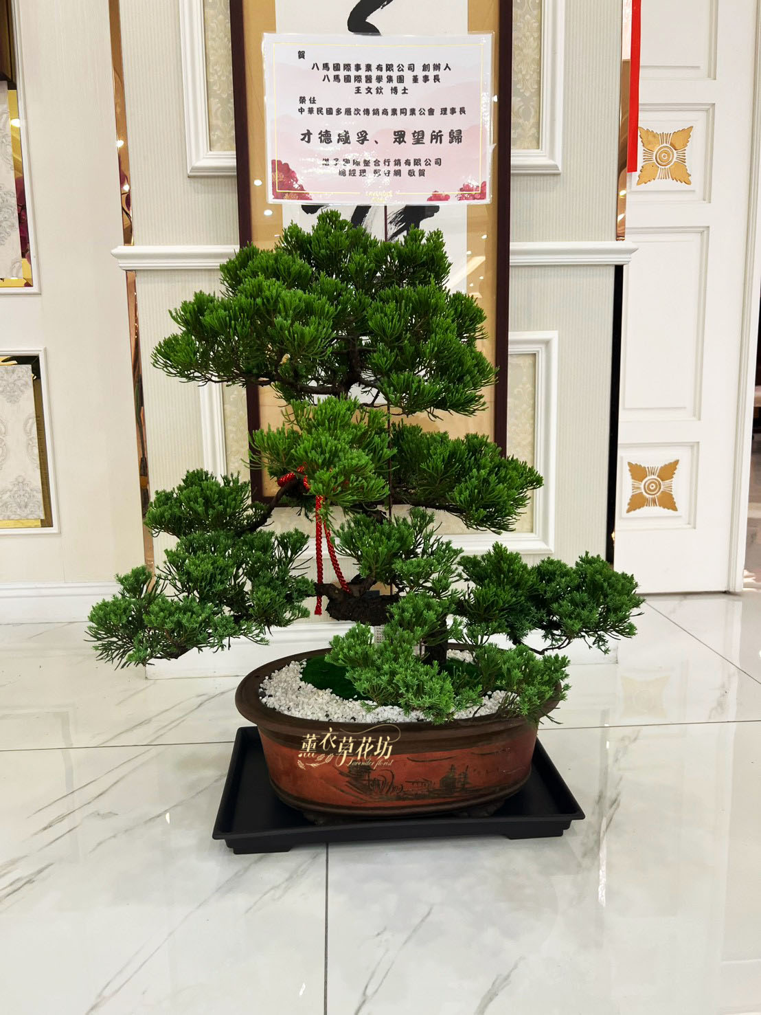 松柏~造型款 107041627