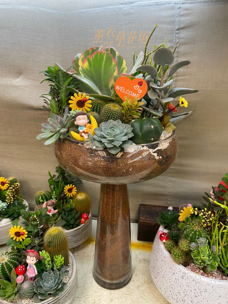 多肉植物 玻璃設計 薰衣草網路花店 情人節花束 媒體報導最具創意網路花店 Lavender