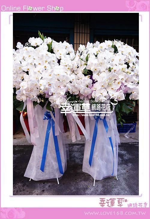 蘭花柱型花藍一對B0219