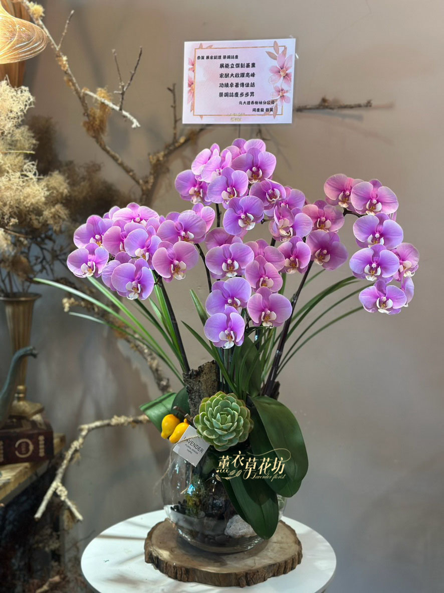 蝴蝶蘭~玻璃缸設計111061220