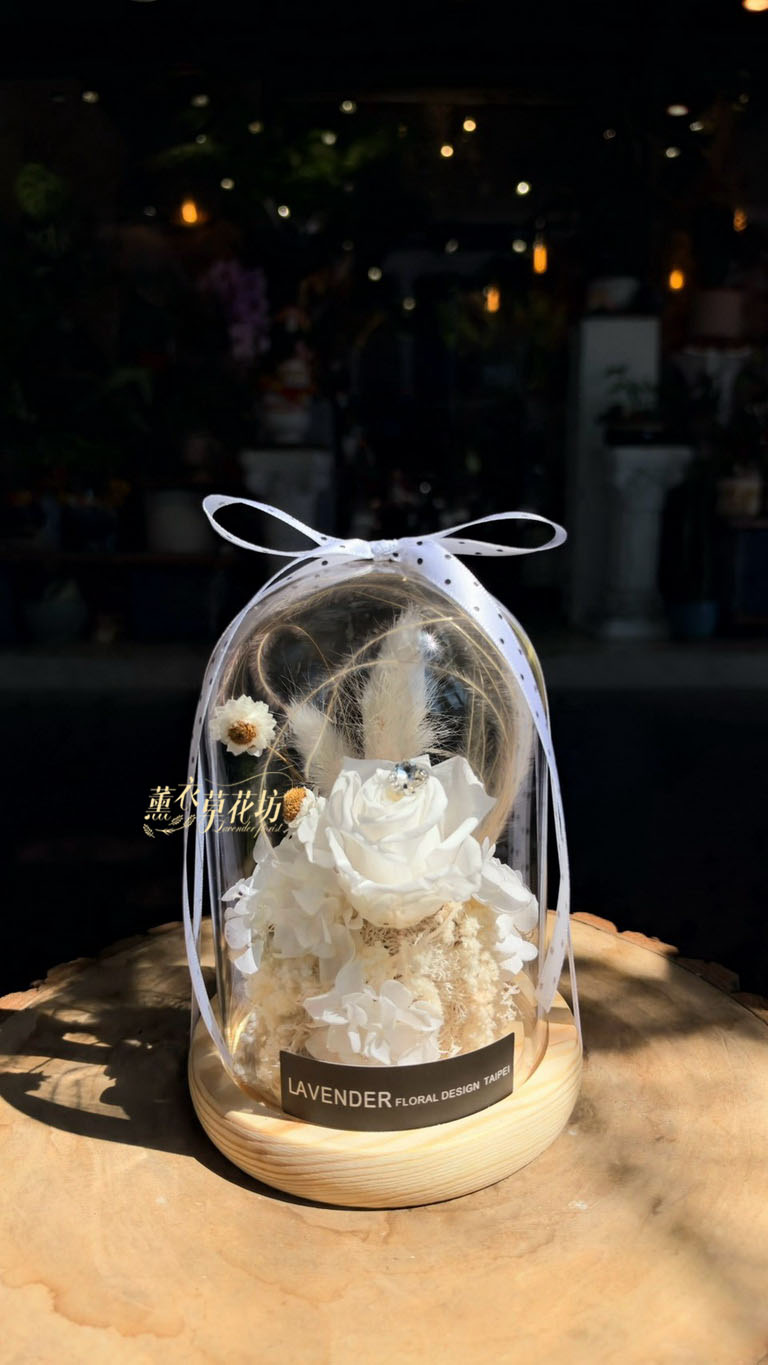 永生花~玻璃罩~11500908