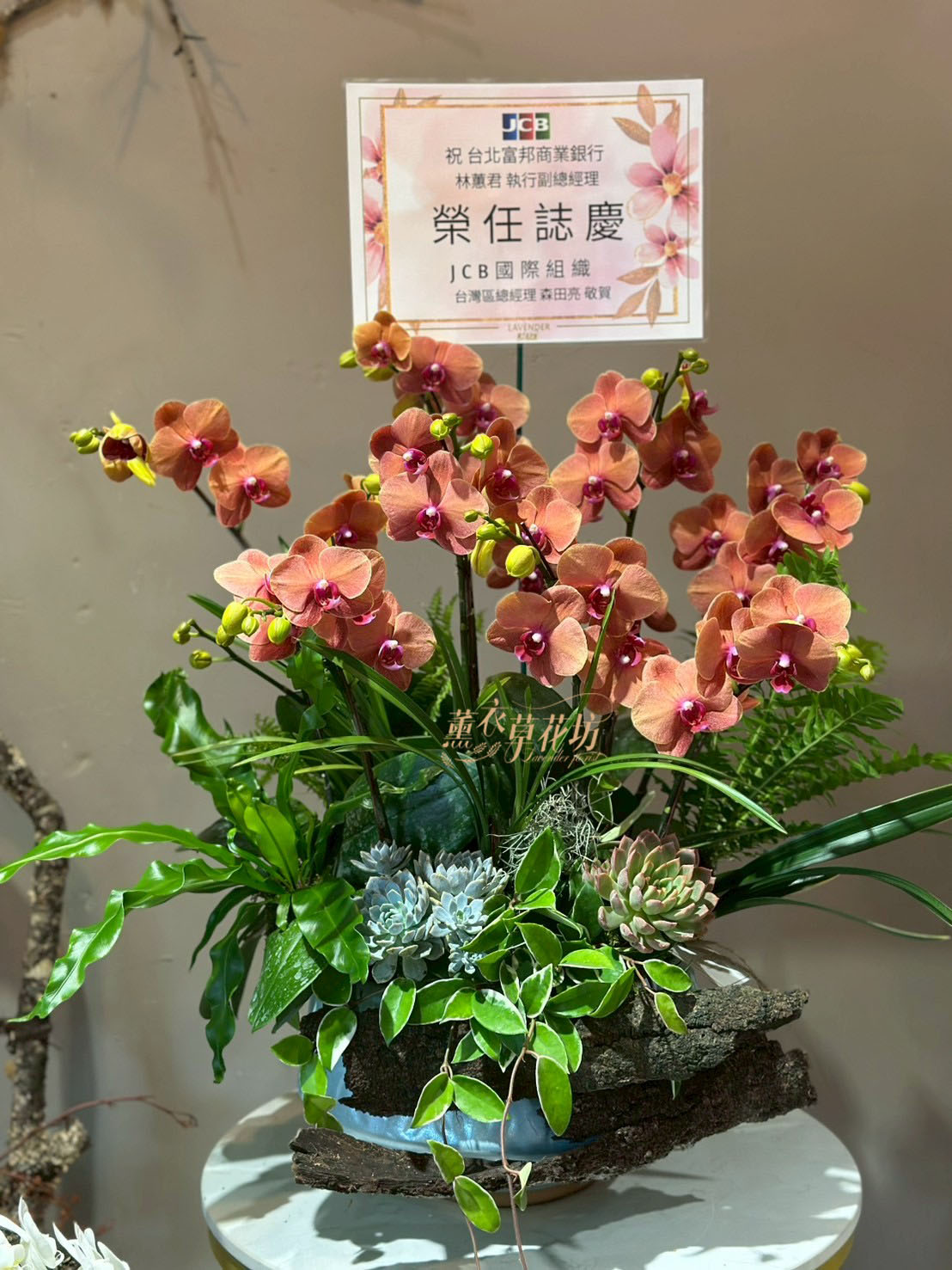蝴蝶蘭/蘭花禮盆 107080214