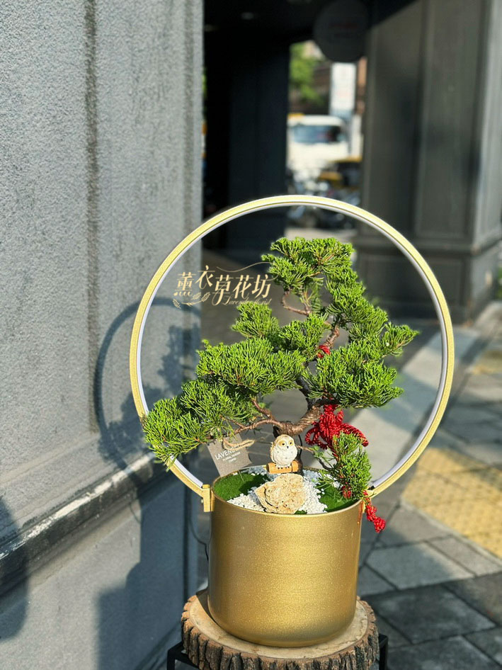 松柏~盆栽設計 115081010