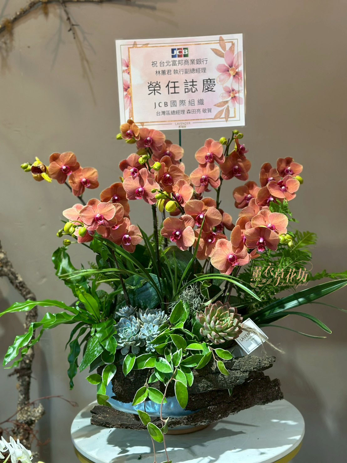 蝴蝶蘭/蘭花禮盆 107080214