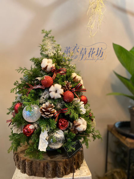 聖誕樹/聖誕節/開幕送禮 /盆栽/盆景 107112203