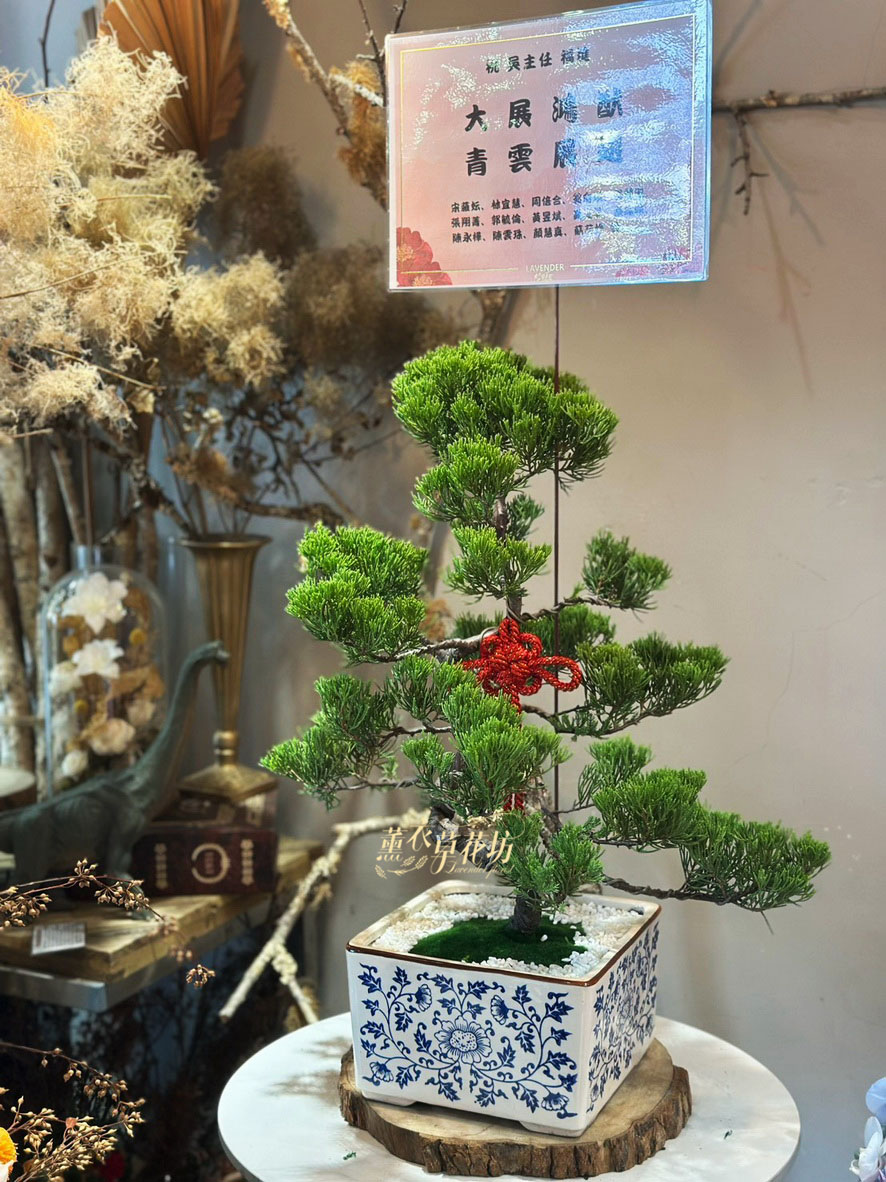 松柏盆栽106010805