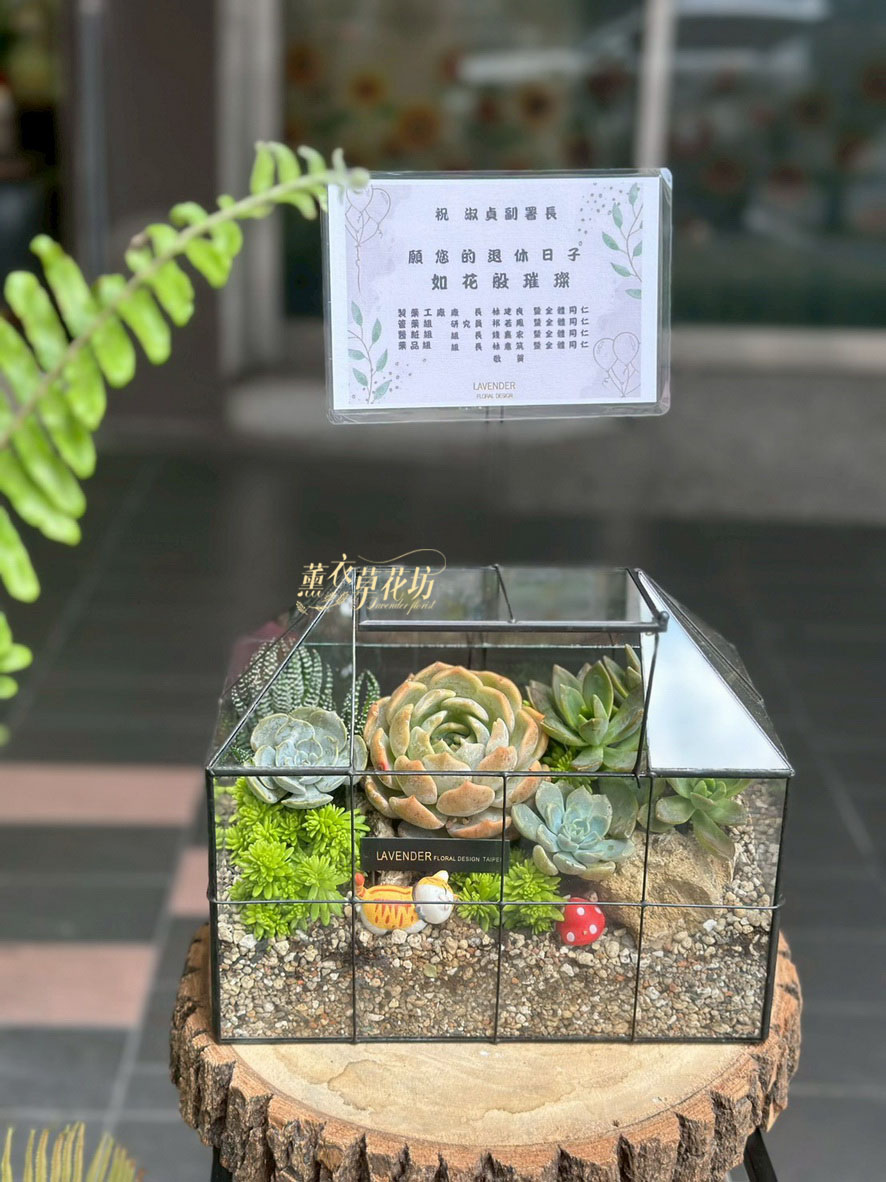 多肉植物~玻璃花屋~設計115052701