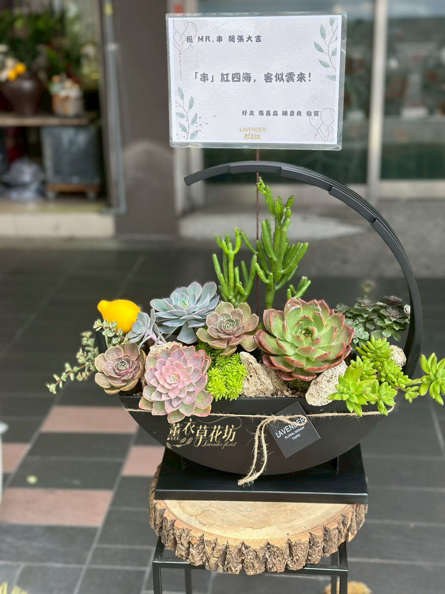 已到貨~多肉植物設計109040618