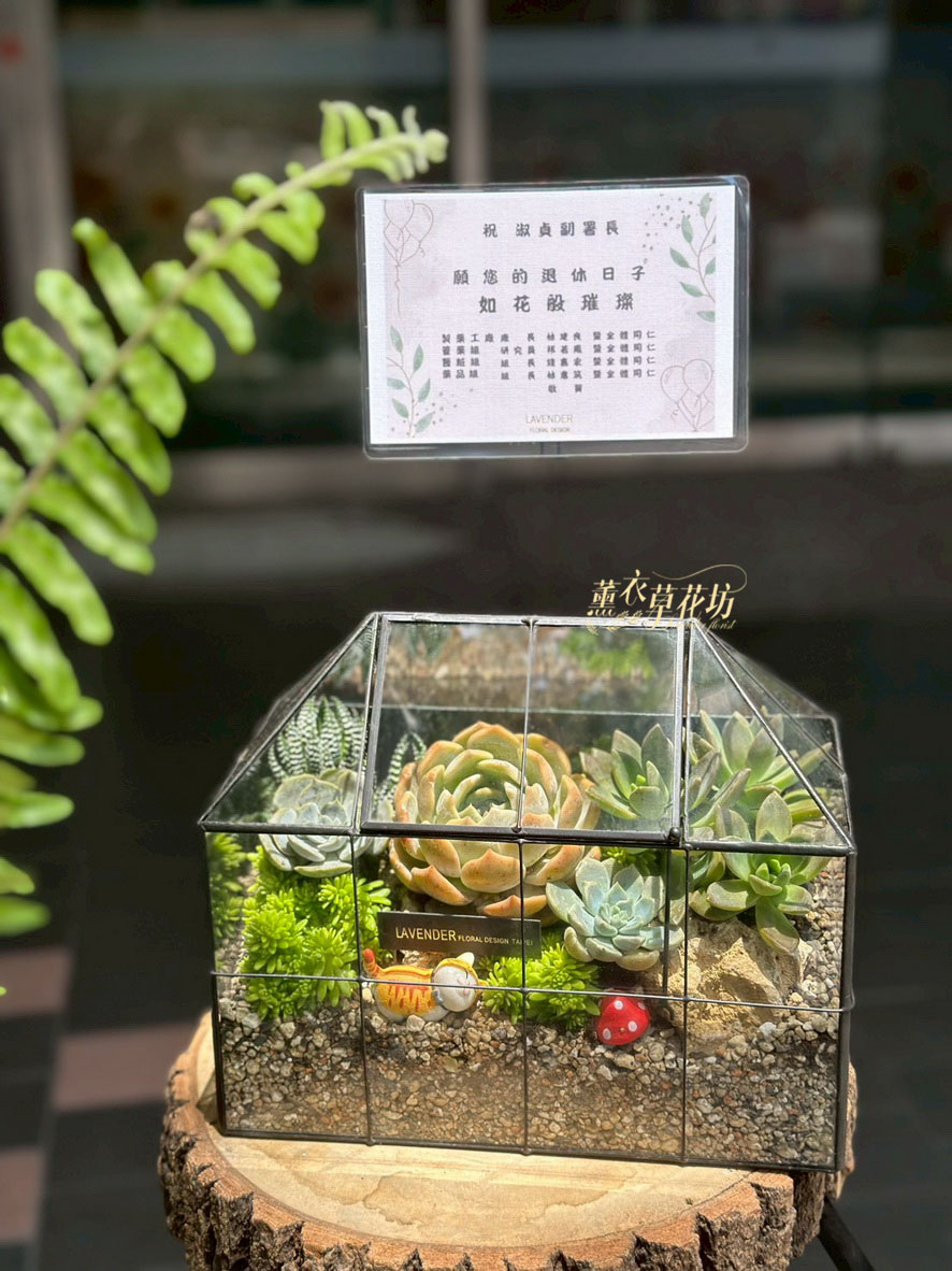 多肉植物~玻璃花屋~設計115052701