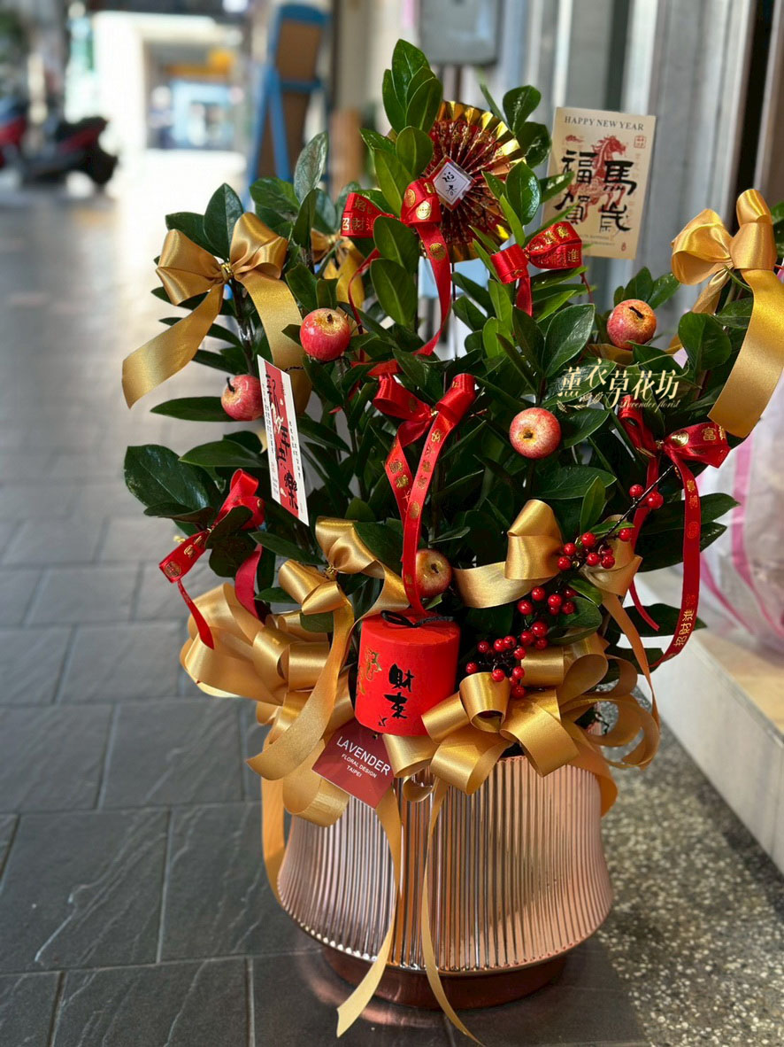 金錢樹~盆栽設計 115032022