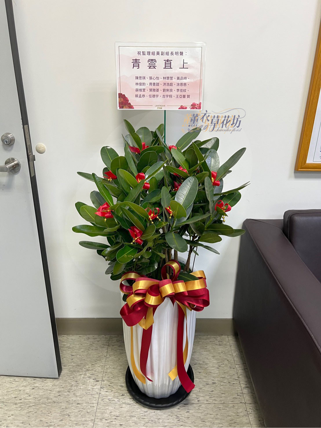 龍珠盆栽113010504