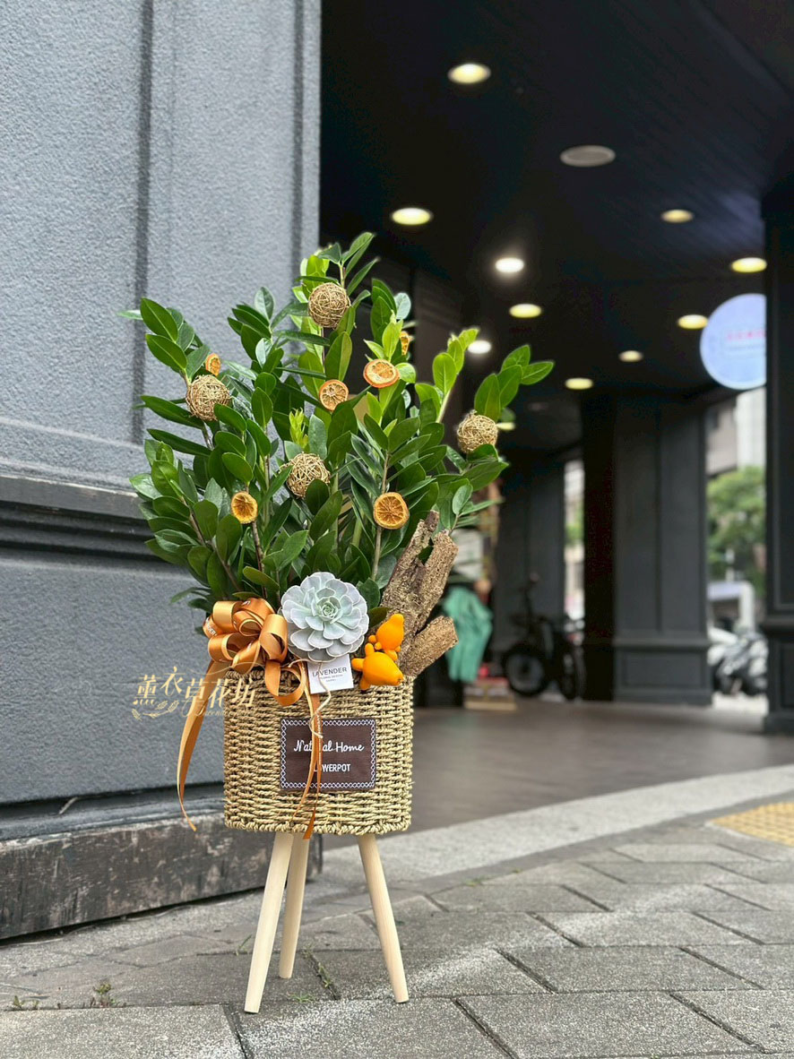 金錢樹~盆栽設計 115041603