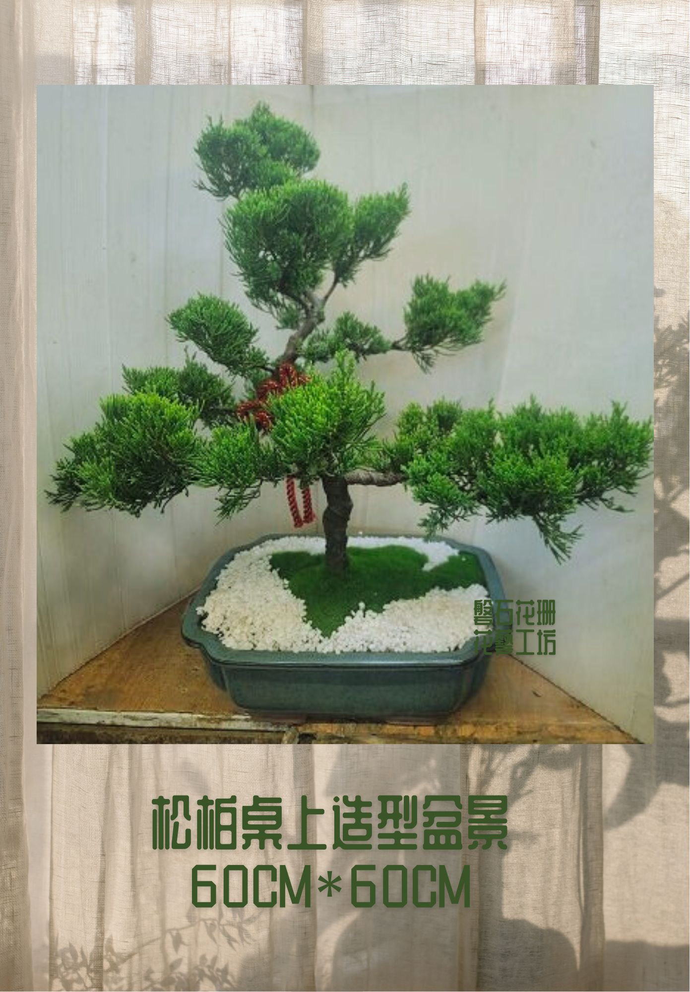 四季常青~福壽同在~松柏桌上盆栽設計~CP3-05