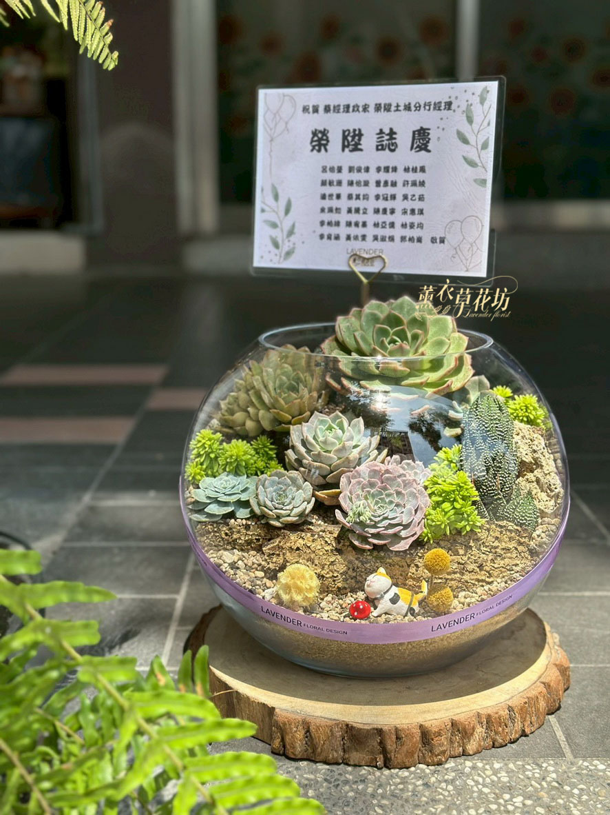 玻璃缸&多肉植物設計108031105