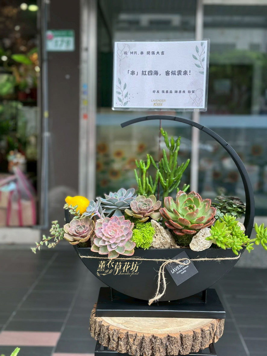 已到貨~多肉植物設計109040618