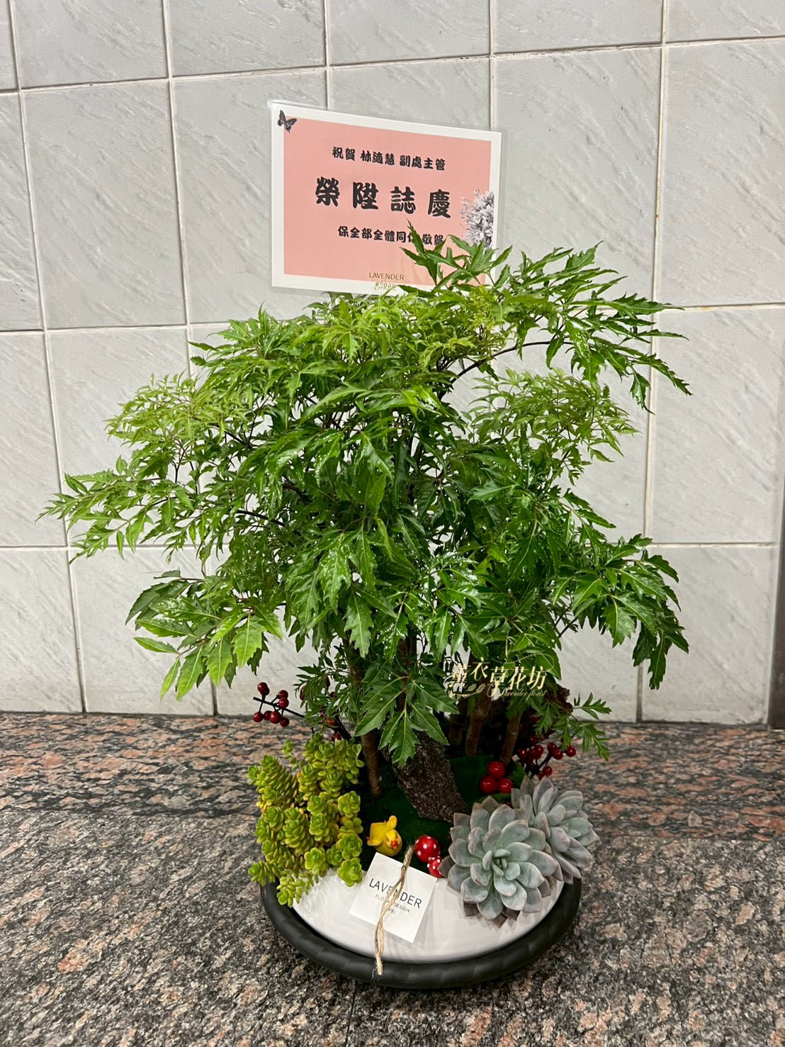 富貴樹~111011712