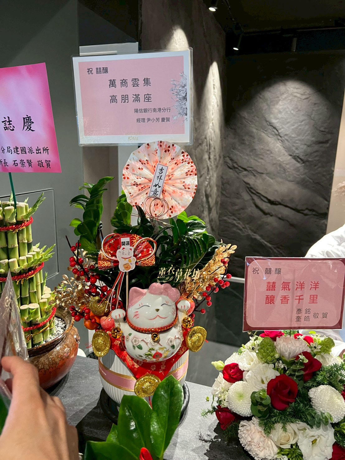 金錢樹~招財貓款 114010901