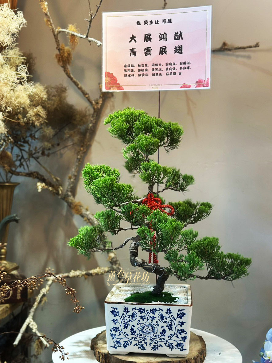 松柏盆栽106010805