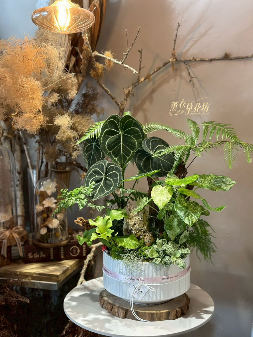 綠色生態植栽設計 114122908