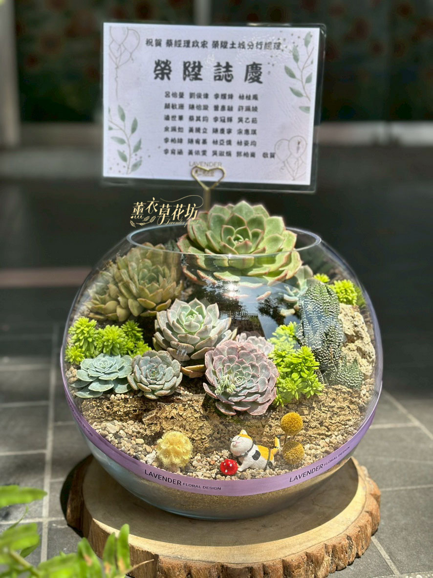 玻璃缸&多肉植物設計108031105