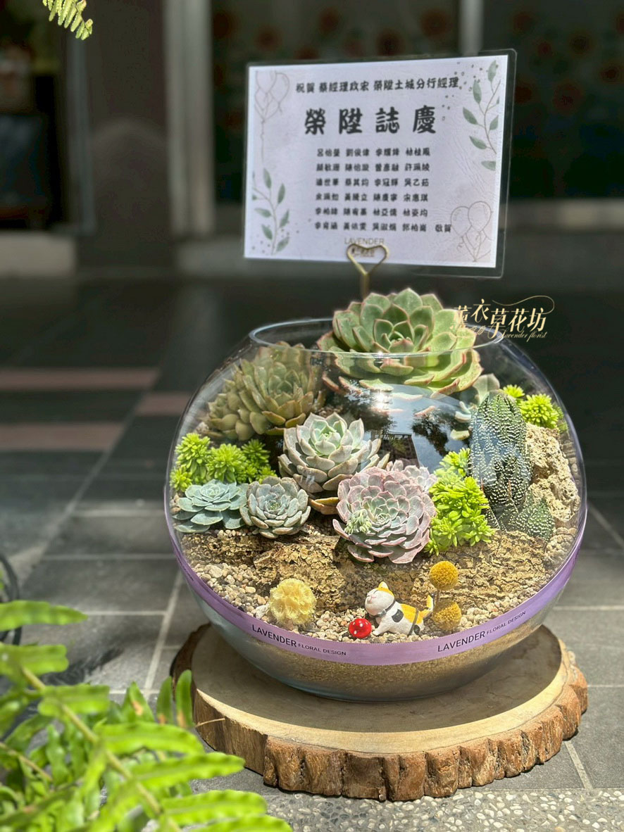 玻璃缸&多肉植物設計108031105