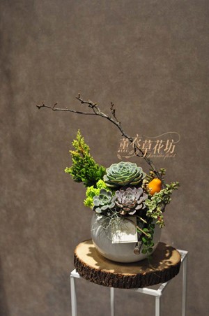 多肉植物設計108112612