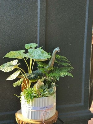 綠色生態植栽設計~114100801