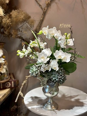 迷你白色蝴蝶蘭設計 108030606