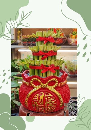 財源滾滾開運竹為您帶來豐盛財富~根根向上、節節高升~
