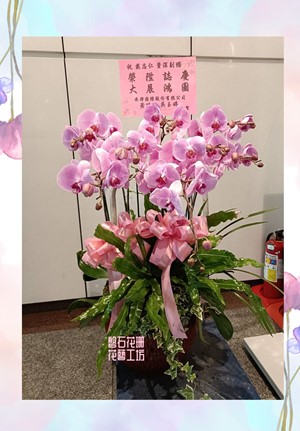 送禮~高雅粉色蝴蝶蘭~蘭花設計