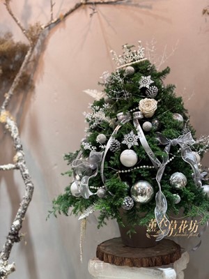 聖誕樹~設計 112121413