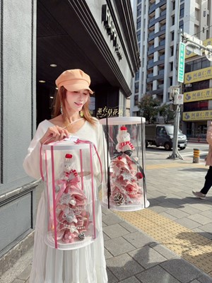 有錢花~聖誕樹款~112121228