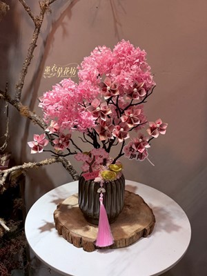 櫻花搖錢樹~115012807