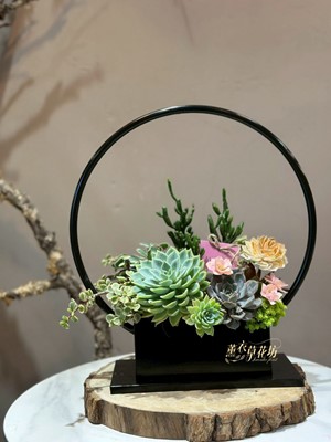 多肉植物~鐵藝設計 115032105