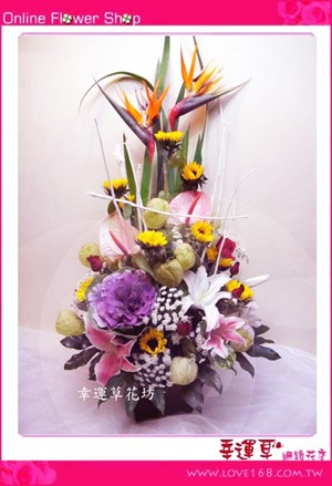 C34優質盆花