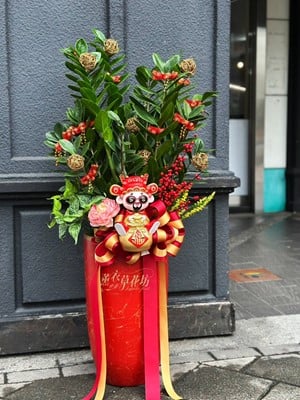 金錢樹盆栽~招財財神款~ 114031403