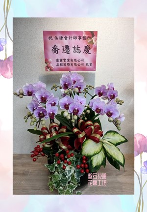 送禮~尊貴紫色蝴蝶蘭~蘭花設計