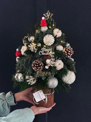 聖誕樹/聖誕節/開幕送禮 /盆栽/盆景 107112203