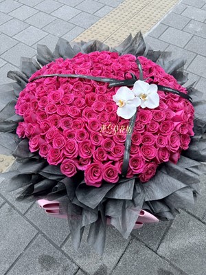 168朵~進口玫紅色~玫瑰 115020601