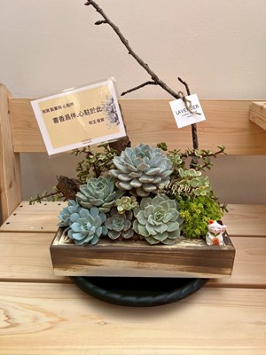 多肉植物設計~112042819