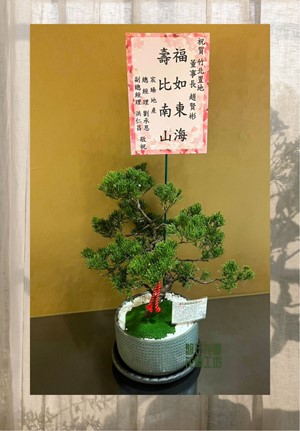 新店開幕~公司落成~松柏桌上盆栽設計~CP3-02