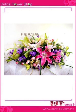 C16優質盆花