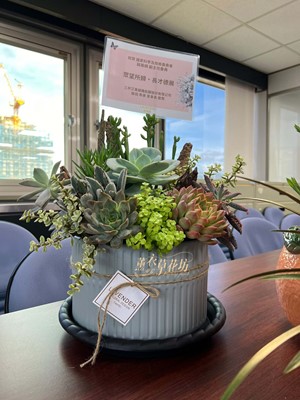 多肉植物盆栽 111040715
