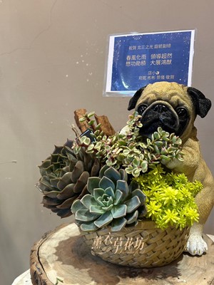 狗狗(旺旺來)&多肉設計111070823